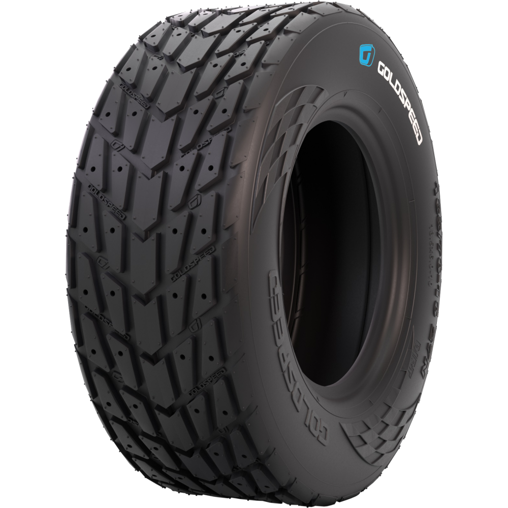 GOLDSPEED AVANT 165/70-10 27N C-9205