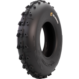 PNEU Goldspeed Sable SX 23x6x10