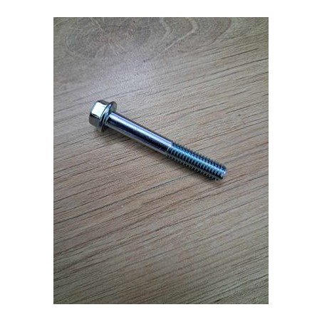 VIS M6X60 tête hexagonale 8mm