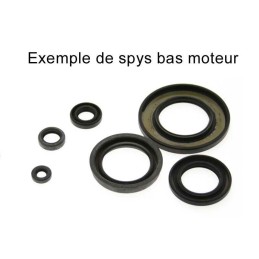 Jeu de joints spi CENTAURO...