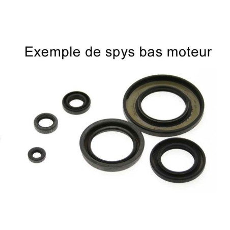Jeu de joints spi CENTAURO YZF450