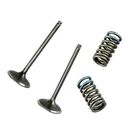 Soupape d'échappement WÖSSNER acier - YZ450F/WRF 2014/2017