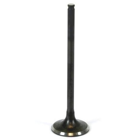 Soupape d'admission PROX acier 350 raptor