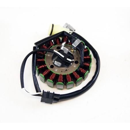 Stator Adaptable YFZR ARROWHEAD