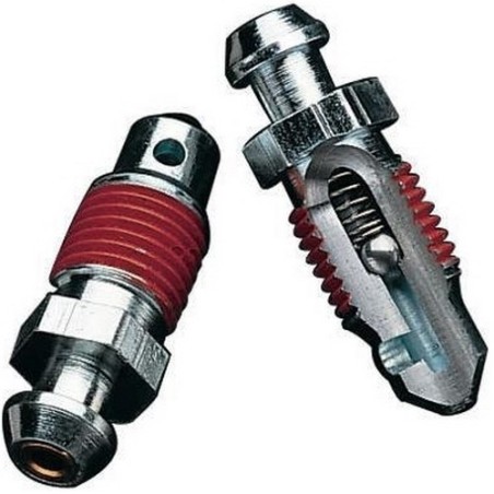 2 Vis de purge Speed Bleeder M6x100
