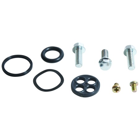 Kit de réparation robinet essence 250 TRXR
