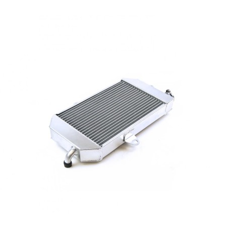 RADIATEUR IROD POUR 350 BANSHEE
