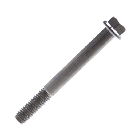 Kit vis titane SCAR M6x55 par 2
