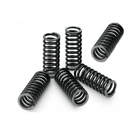 Kit ressorts d'embrayage TECNIUM  500 predator