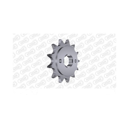 PIGNON AFAM acier standard 250 TRX