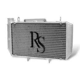 RADIATEUR RS YZ CHASSIS LAEGER'S GROS VOLUME