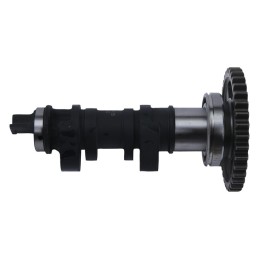 Arbre à cames HOT CAMS - niveau 2  450 CRF 17/22
