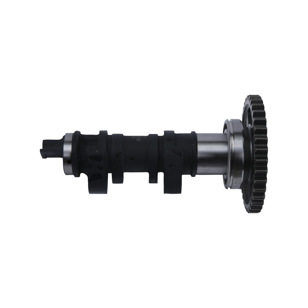 Arbre à cames HOT CAMS - niveau 2  450 CRF 17/22