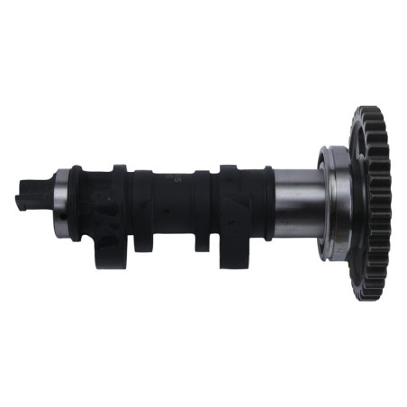 Arbre à cames HOT CAMS - niveau 2  450 CRF 17/22