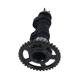 Arbre à cames HOT CAMS - niveau 2  450 CRF 17/22