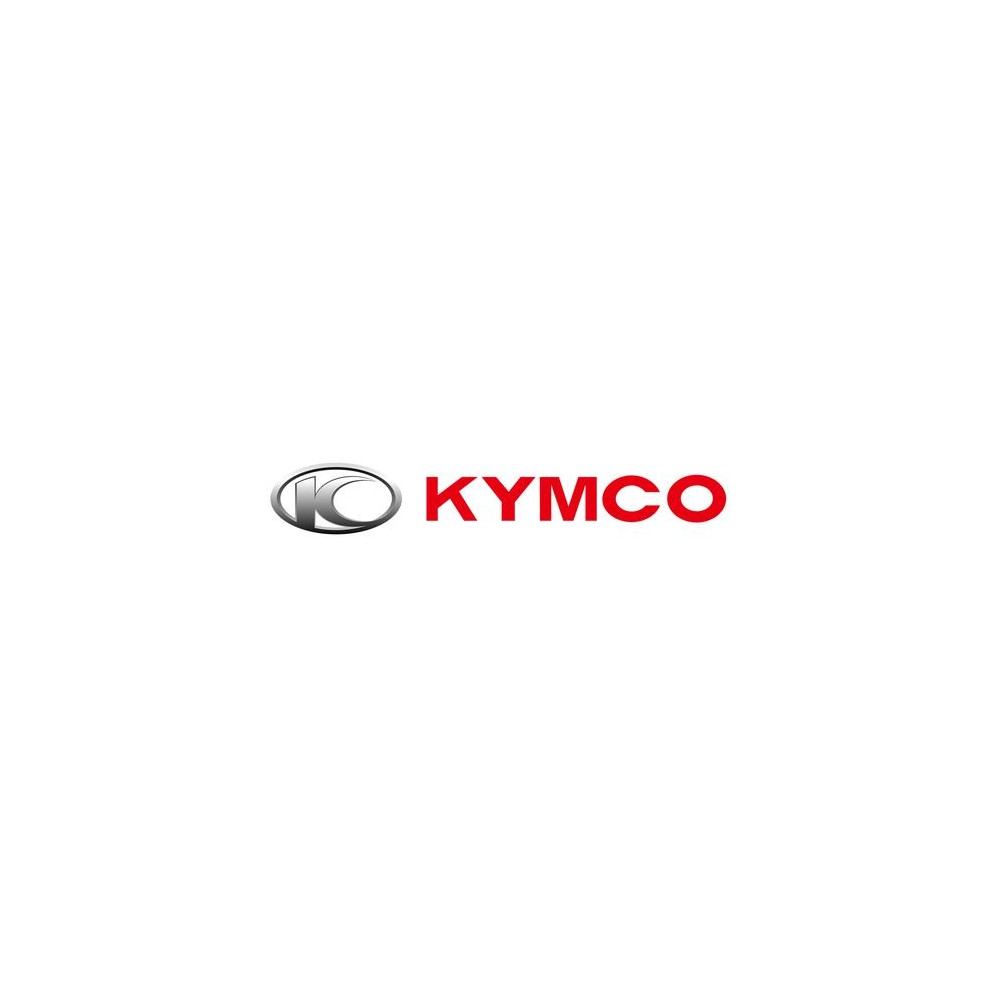 FUSEE ARRIERE DROITE KYMCO
