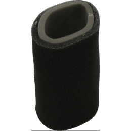 Filtre à air 450 grizzly