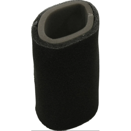 Filtre à air 450 grizzly