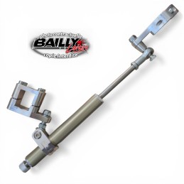 AMORTISSEUR DE DIRECTION STREAMLINE 11CLIC TRX 450 R