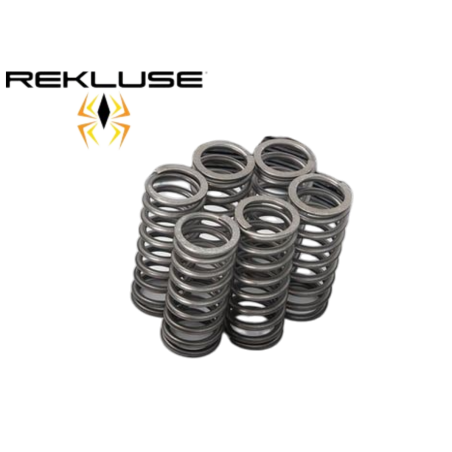 Kit de ressorts TorqDrive de remplacement pour Suzuki RMZ450 RMX450Z