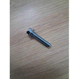 VIS M6X25 tête hexagonale 8mm