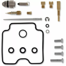 Kit de réparation pour carburateur Grizzly 450