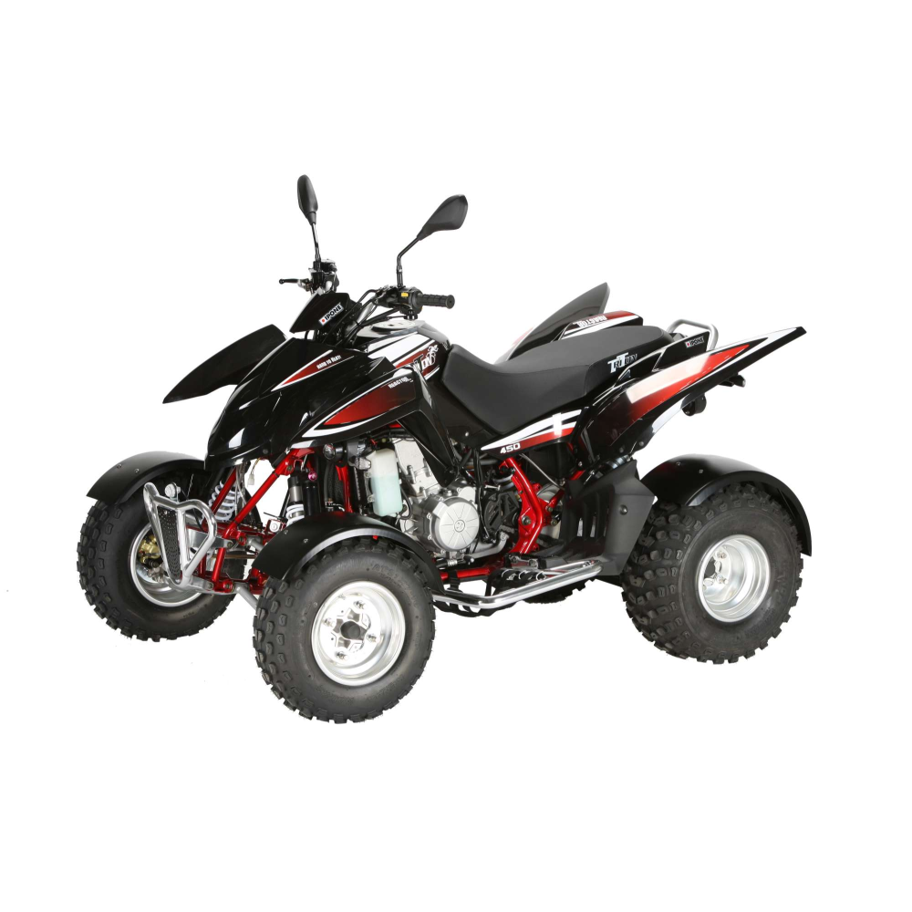 MOTEUR COMPLET DE RECHANGE 450 TRITON