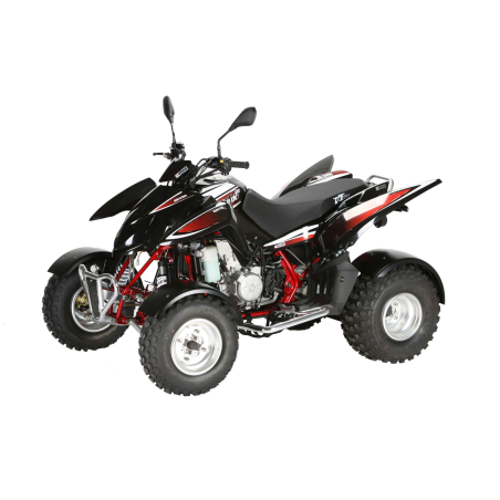 MOTEUR COMPLET DE RECHANGE 450 TRITON