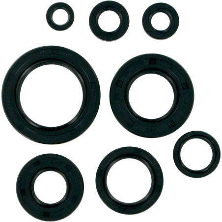 Joint spi moteur 250 TRXR