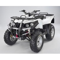 TRITON 300 OUTBACK 2x4