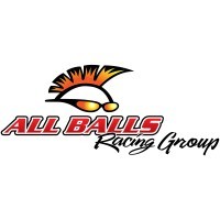 ALL BALLS RACING GROUP